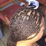 Comb Twist