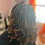 Senegalese Twist