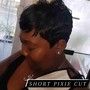 Silk Press (Short Hair Cut) Pixe -Ear Length