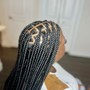 Individual Braids