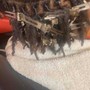 Starter locs