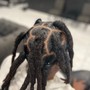 Basic retwist ( roots not matted)