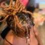 Basic retwist ( roots not matted)