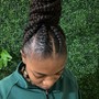 Braided Ponytail