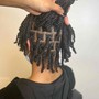 Starter Locs