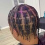 Starter Locs