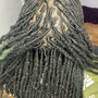 High Top Fade Starter Locs (2 strand or coil method)