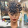 Partial Head Highlights (1-2 sections only)