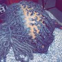 Braids, Crochet Braids