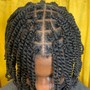 Starter Locs (no sides or back)