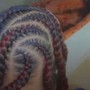 Feed in Braids with design