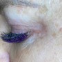 Eyelash Extensions Volume Fill