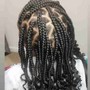 Braids with extentions