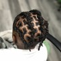 Starter locs