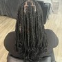 Medium Passion Twists