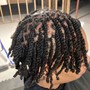 Loc Double Twist AKA Two Strand Twist