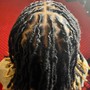 Retwist, Midback- Waist Length COMBO