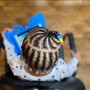 Kid's Natural Braids