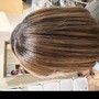 Root Touch Up