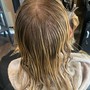 Root Touch Up