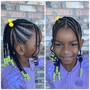 Braid Ponytail (Small braids)