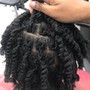 Medium Starter Locs (1+ inch size)