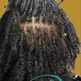 Loc Re-twist (shoulder to mid back)