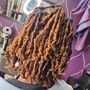 Loc Coils/Starter Locs