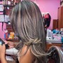 Partial Highlights {with Silk Press}