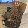 24’+ Soft Locs/ Butterfly locs (Waist Length)