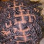 Mens Braids