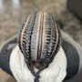 Medium Fulani twists (mid back)