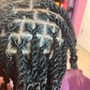 KIDS 2 Layer Feed-in Braids (1/2 up 1/2 down)