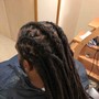 Starter Micro Locs