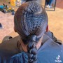 Sleek Braided Ponytail