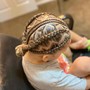 2-4 feedin braids