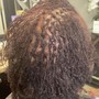 Sisterlocs Consultation