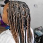 Kid's  Braids w/Extensions