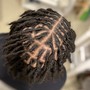 Loc Maintenance (retwist)