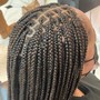 Island Twist