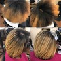 Root Touch Up