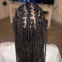 Natural Twists