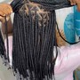 10 Stitch Braids