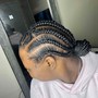 Slick Braided ponytail