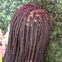 Medium Knotless Braids