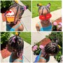 Kid's Styled Braids