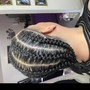 1 Layer Straight Backs 6-8 Braids