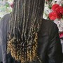 Regular Crochet Braids