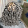 Havana Twist OVER Locs