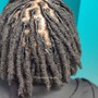 Loc Maintenance (retwist/palm roll)